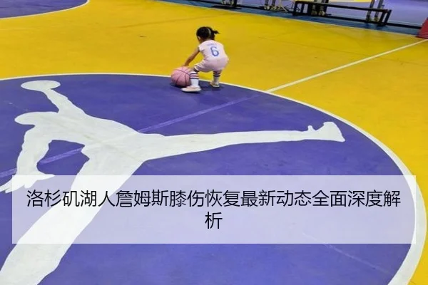 洛杉矶湖人詹姆斯膝伤恢复最新动态全面深度解析